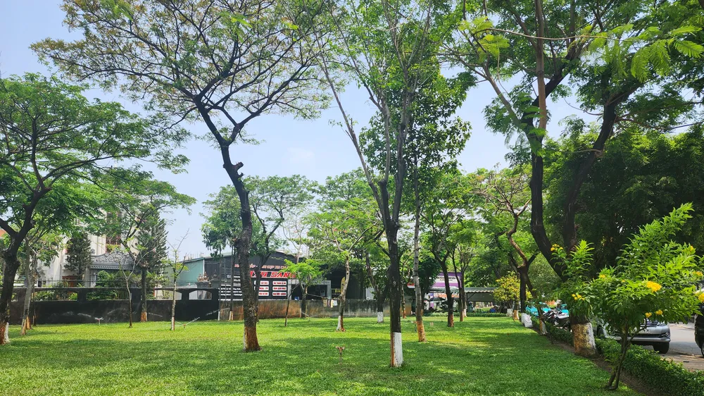 Thực hiện “Tết trồng cây đời đời nhớ ơn Bác Hồ” phải thiết thực, không phô trương hình thức