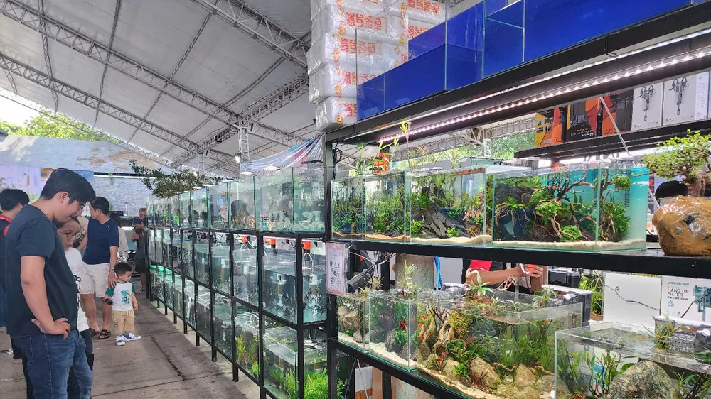 Khai mạc Ngày hội sinh vật cảnh TPHCM năm 2025