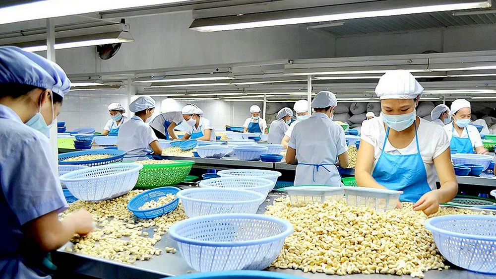 Hội nghị Điều quốc tế lần thứ 14 – “Điểm hẹn vàng” ngành điều toàn cầu
