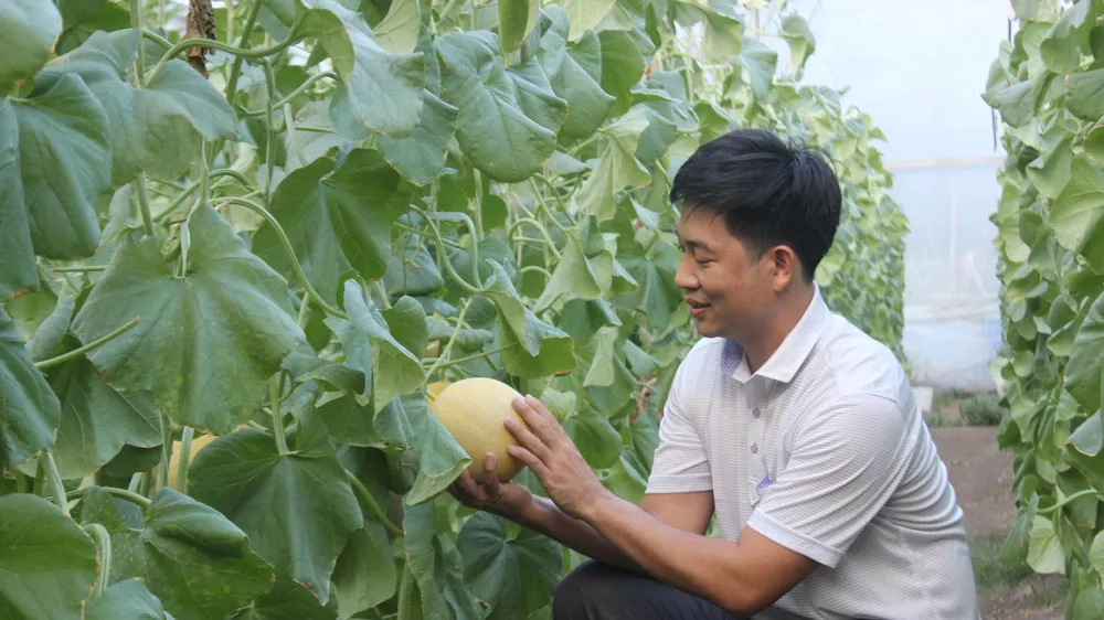 Phát động cuộc thi khởi nghiệp đổi mới sáng tạo nông nghiệp công nghệ cao