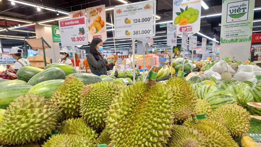 Giá sầu riêng giảm mạnh vào thời điểm thu hoạch chính vụ