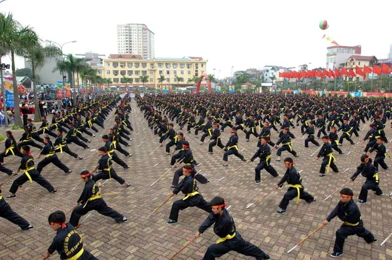 Liên đoàn võ cổ truyền Việt Nam sẽ tổ chức Đại hội nhiệm kỳ mới vào ngày 27-9 tới đây. Ảnh: CỤC TDTTVN