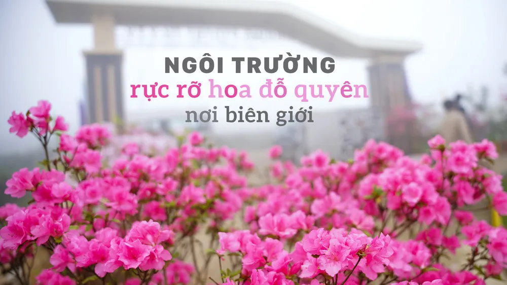 Ngôi trường rực rỡ hoa đỗ quyên nơi biên giới