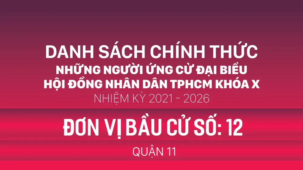 Đơn vị bầu cử số: 12 (quận 11)