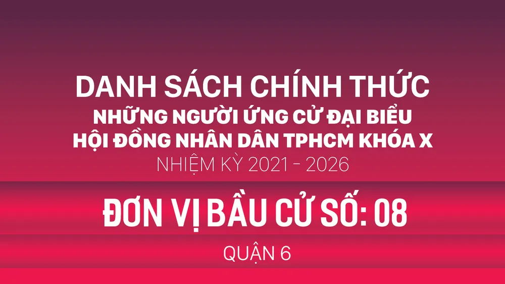 Đơn vị bầu cử số: 08 (quận 6)
