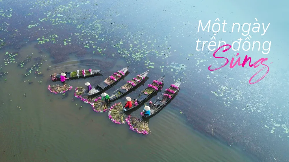 Một ngày trên đồng súng