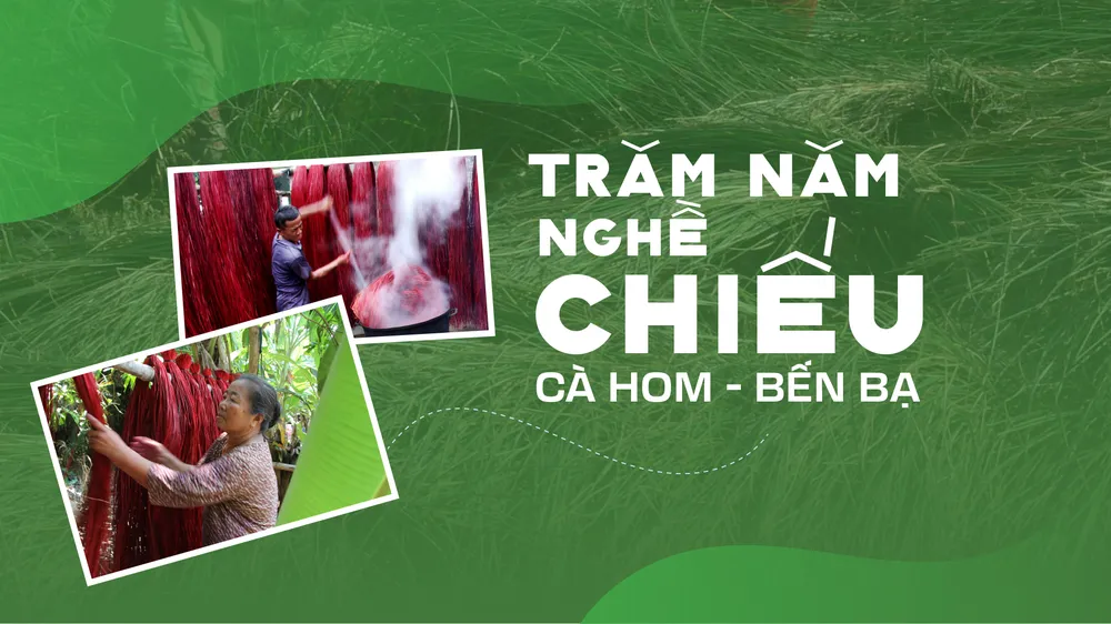 Từng cọng lát được phơi trong sân chùa, trước khi đem nhuộm và đưa vào khung dệt. Ảnh: TÍN HUY