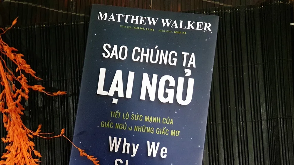 Khám phá sức mạnh của giấc ngủ
