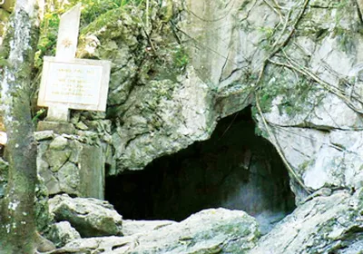 Di chúc màu xanh