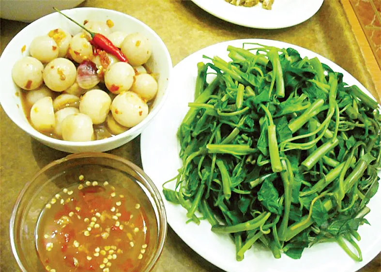Lược khảo về quả cà