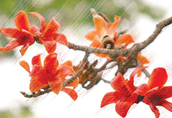 Tháng ba mưa phùn