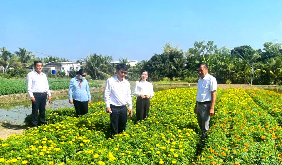 Sáng 23-1, Hội Nông dân xã Hưng Long (TPHCM) tổ chức đoàn đến thăm, động viên các hộ nông dân trồng hoa nền trên địa bàn.