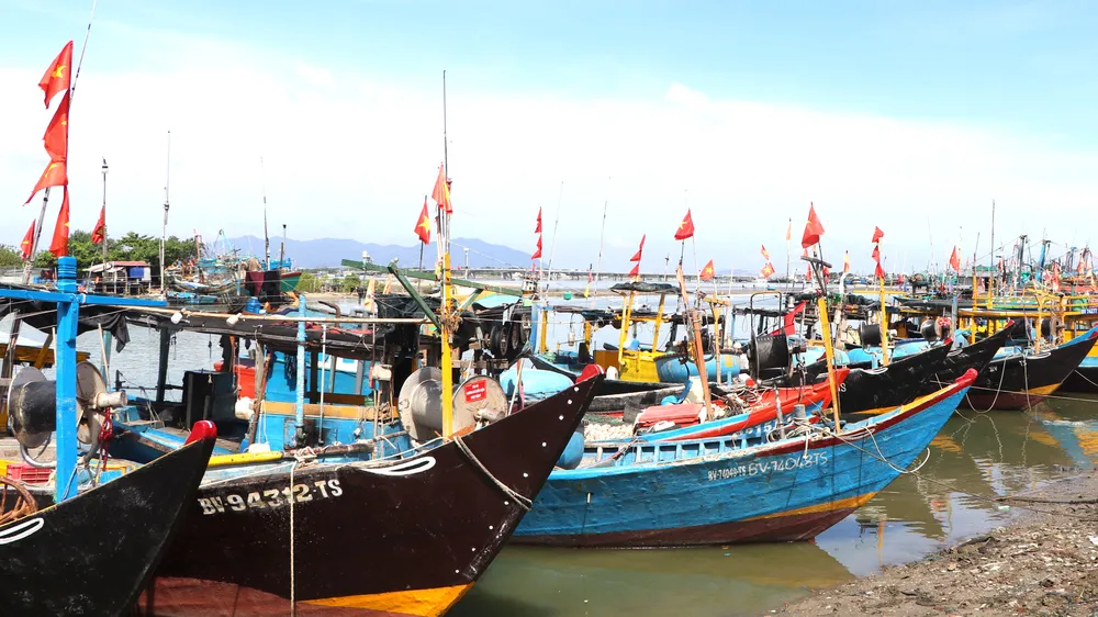 Xã Long Hải: Khẩn trương hoàn thiện hồ sơ làm việc với Đoàn kiểm tra khuyến nghị phòng chống IUU của EC