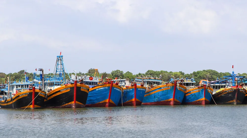 Xã Long Hải có 34 tàu cá bắt buộc áp dụng nhật ký khai thác điện tử từ ngày 1-7