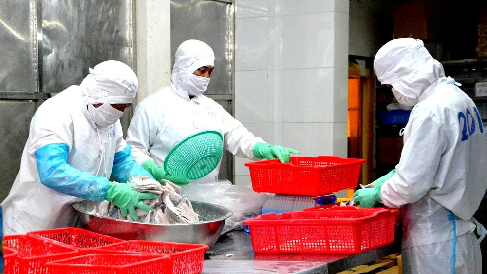 Công nhân Công ty CP Chế biến Xuất nhập khẩu thuỷ sản Basefood (TPHCM) đang chế biến thủy sản. Ảnh Thành Huy