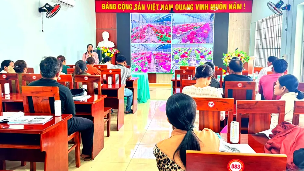 Nông dân xã Bình Giã tập huấn kỹ thuật “Trồng, chăm sóc vườn hoa Tết”
