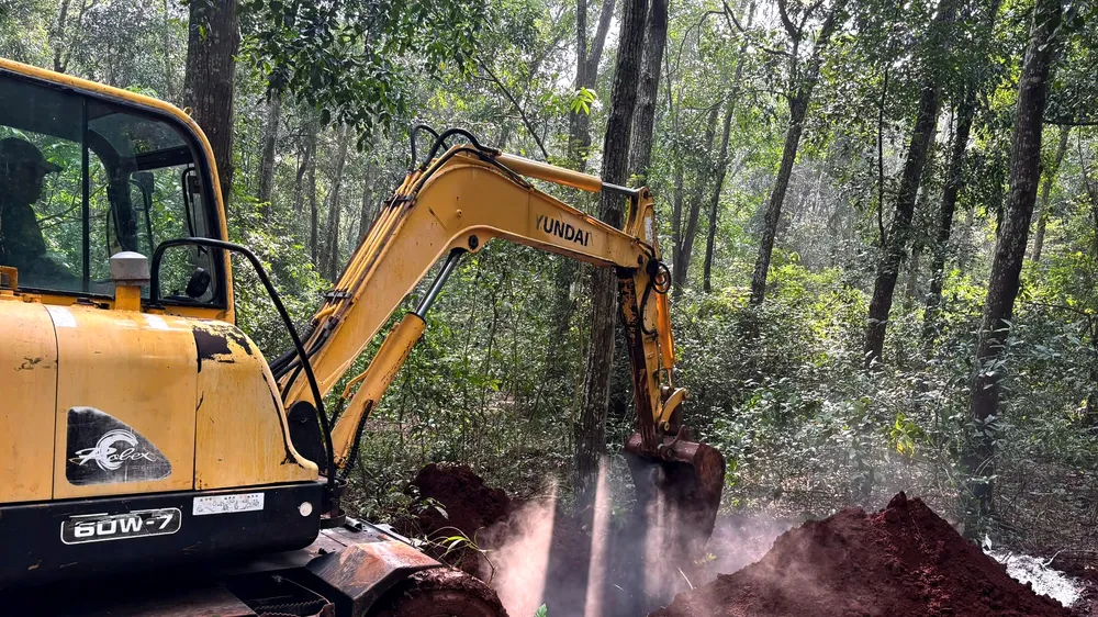 Lực lượng chức năng xã Xuân Sơn tiến hành tiêu hủy đàn heo bị nhiễm bệnh. Ảnh: Q.V