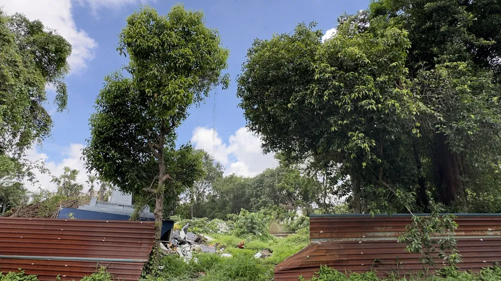 Công viên Đầm Sen bàn giao hơn 2.200m² để xây Trạm biến áp 220kV