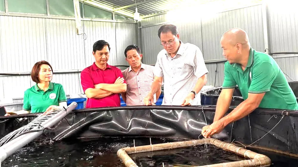 Xã Kim Long phấn đấu đạt chuẩn nông thôn mới vào năm 2028