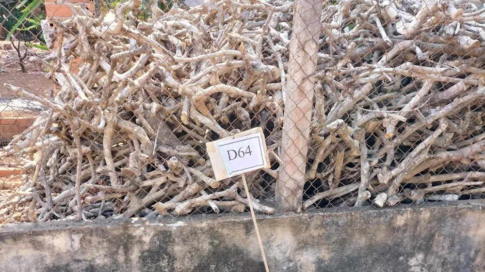 Đắk Lắk: Làm rõ việc “cò” đất cắm bảng quy hoạch giả để trục lợi