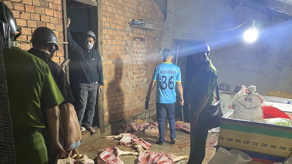 Phát hiện lò mổ với gần 1 tấn heo chết bốc mùi hôi thối