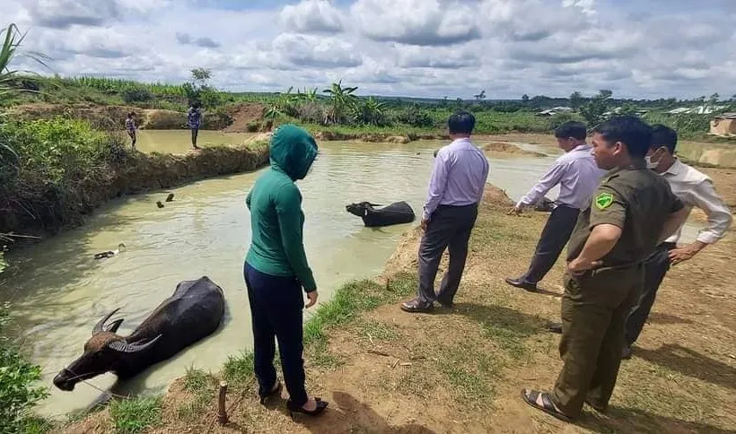 Đắk Lắk: Hai cháu nhỏ đuối nước thương tâm