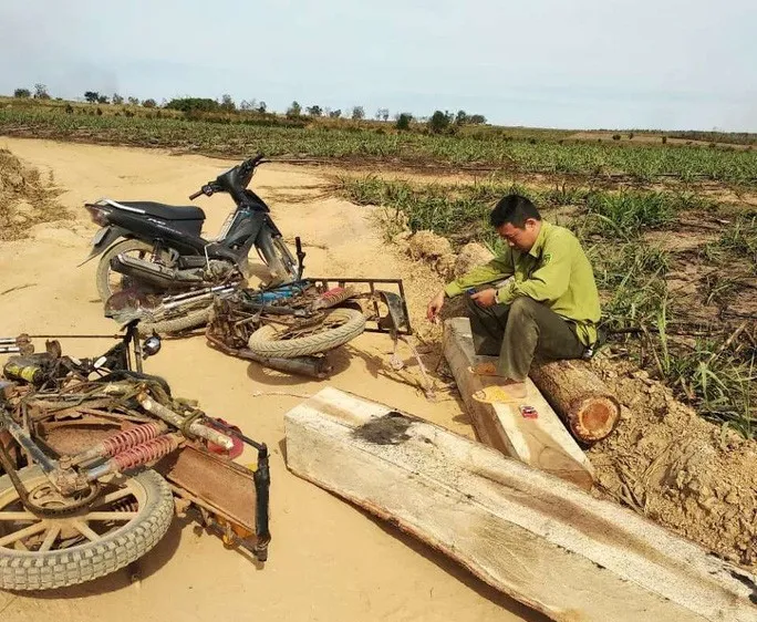 Trạm phó bảo vệ rừng bị hành hung khi đang tuần tra