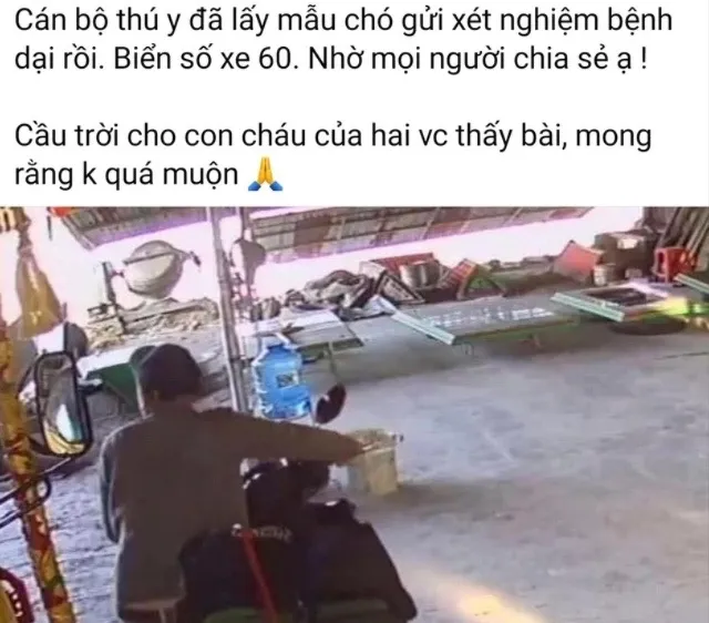 Tìm được người phụ nữ ở Đồng Nai lên Đắk Lắk bị chó dại cắn
