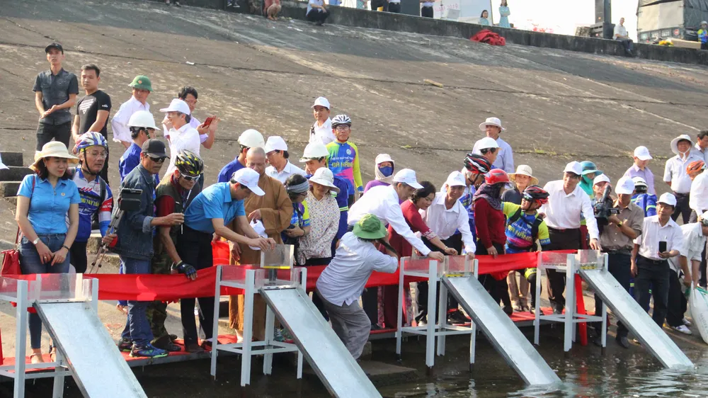 Đại diện các cơ quan chức năng, nhà tài trợ tiến hành thả cá giống xuống lòng hồ thủy điện Sông Tranh 2