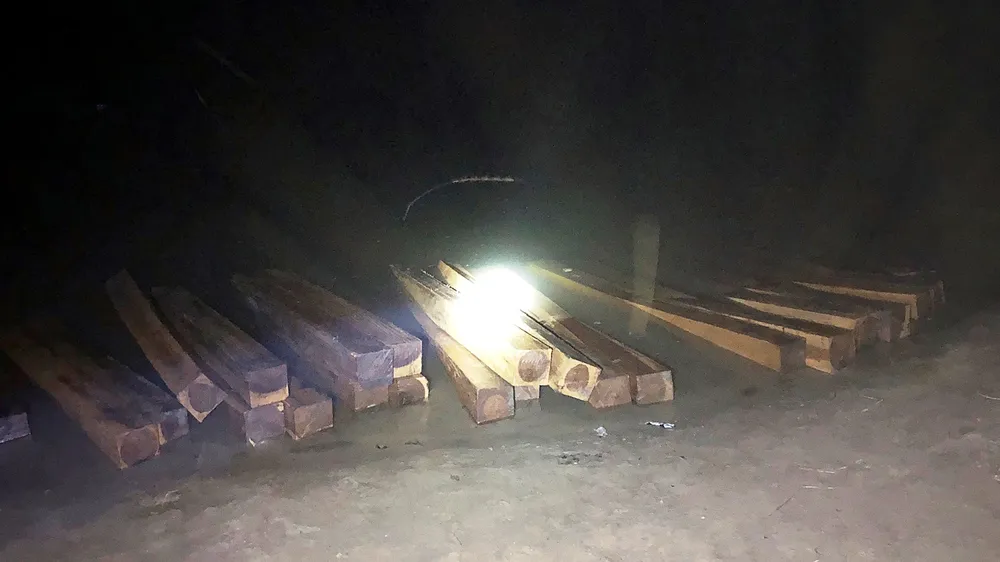  Số gỗ lậu bị bắt giữ