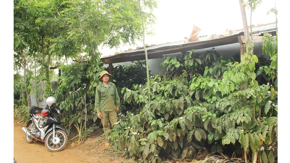 Một căn nhà trái phép xây dựng ở dự án Đường Hồ Chí Minh tuyến tránh đô thị Pleiku