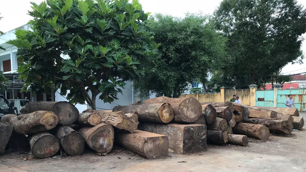 Khởi tố nguyên trưởng công an xã tiếp tay phá rừng