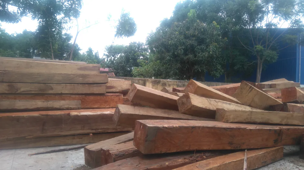 Bắt một giám đốc công ty tàng trữ hàng chục khối gỗ lậu