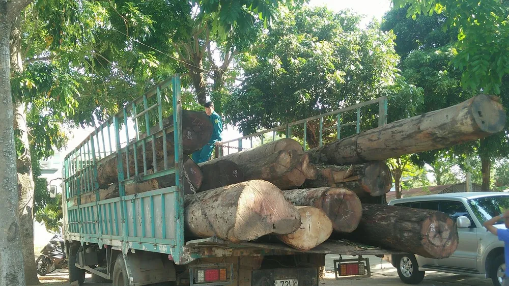 Kon Tum: Bắt vụ vận chuyển hơn 11m³ gỗ lậu 