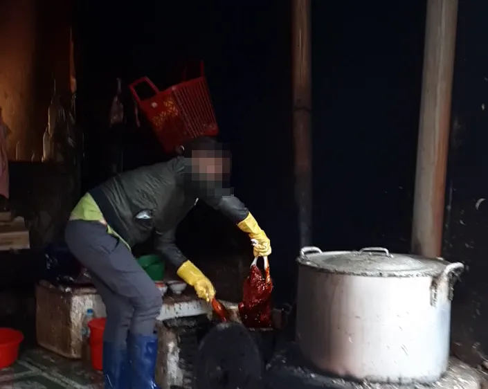 Cơ sở dùng nhựa thông để nhổ lông vịt tại chợ Yên Thế