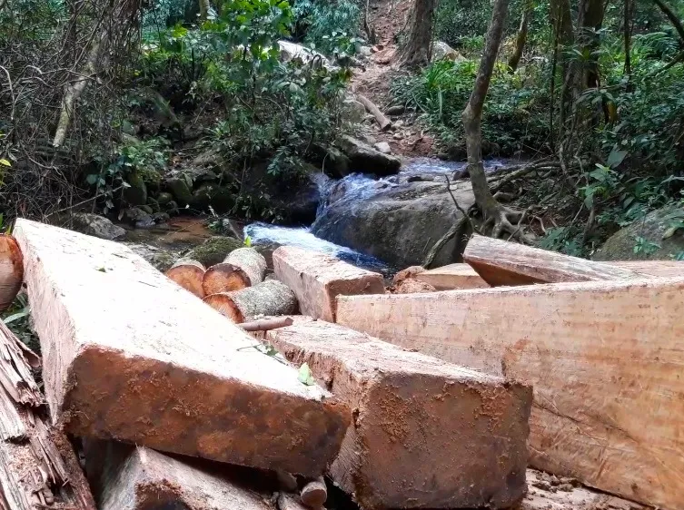Điều tra đối tượng “xẻ thịt” rừng Kon Tum