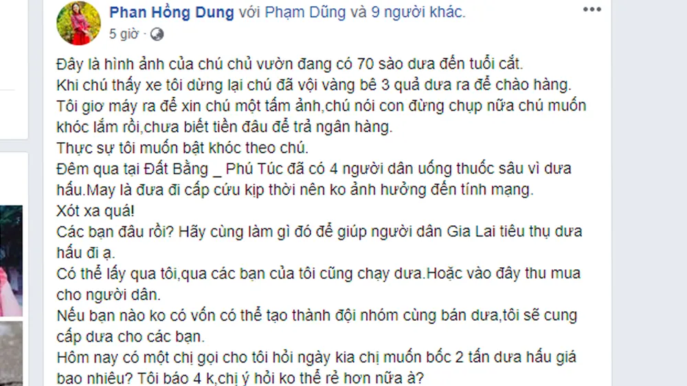 Vụ bịa đặt thông tin 4 người dân tự tử vì dưa hấu: Phạt người tung tin 12,5 triệu đồng
