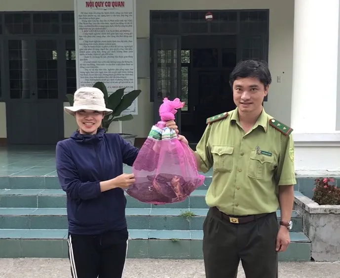 Tiếp nhận 6 cá thể rùa đầu to nguy cấp, quý hiếm 