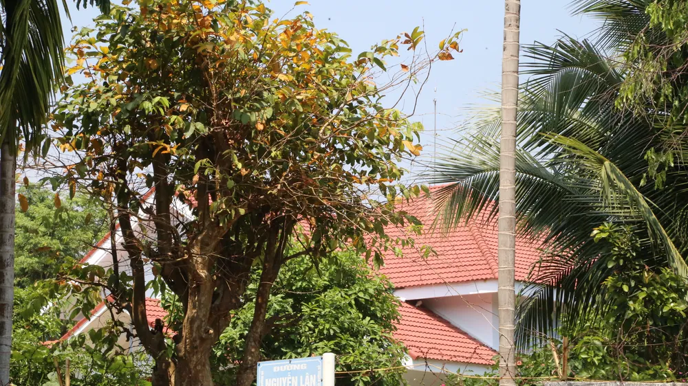 Kon Tum: Yêu cầu làm rõ hành vi làm đường sai quy hoạch để vợ nguyên Bí thư Thành uỷ có nhà 4 mặt tiền 