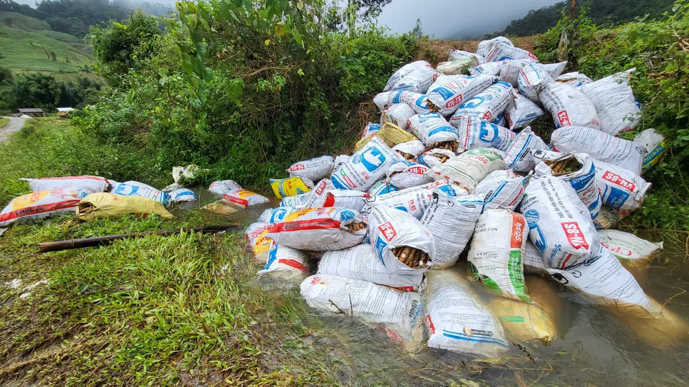 Kon Tum: Hàng trăm tấn mì có nguy cơ thối rữa vì tắc đường