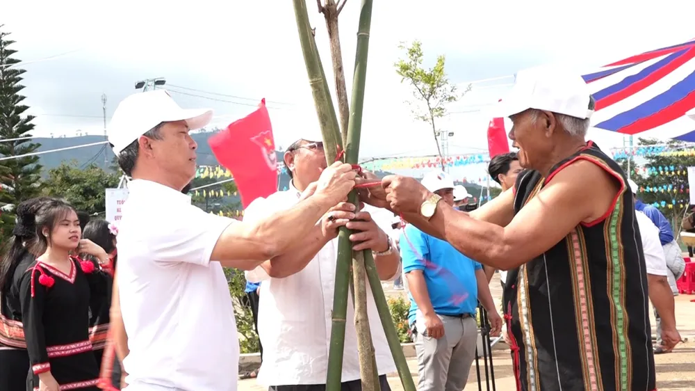Kon Tum phát động trồng hơn 102.000 cây thông 