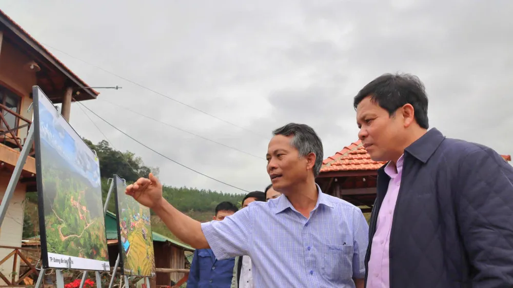 Đấu giá sâm Ngọc Linh để giúp đồng bào Xơ Đăng làm du lịch cộng đồng