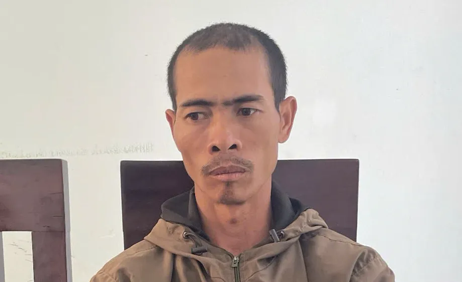 Tạm giữ nghi phạm chặt phá cà phê, hồ tiêu ở Gia Lai 