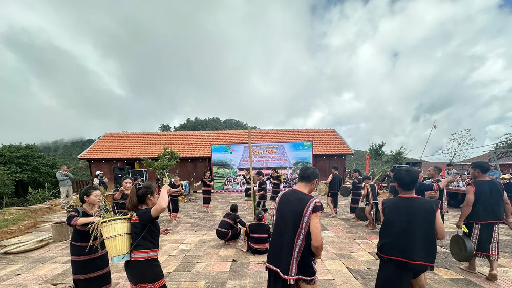Phiên chợ sâm Ngọc Linh ở Tê Xăng: Gắn kết bảo tồn văn hóa với phát triển dược liệu