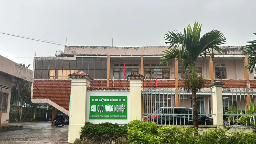 Xử lý trách nhiệm tập thể, cá nhân cấp sai giấy xác nhận mã số vùng trồng sâm Ngọc Linh