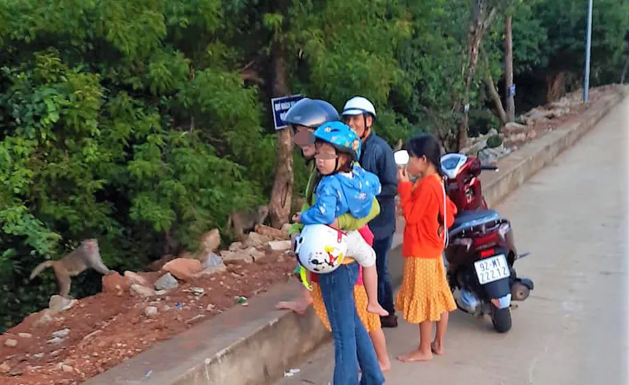Một nam thanh niên bắt trộm khỉ con tại chùa Linh Ứng