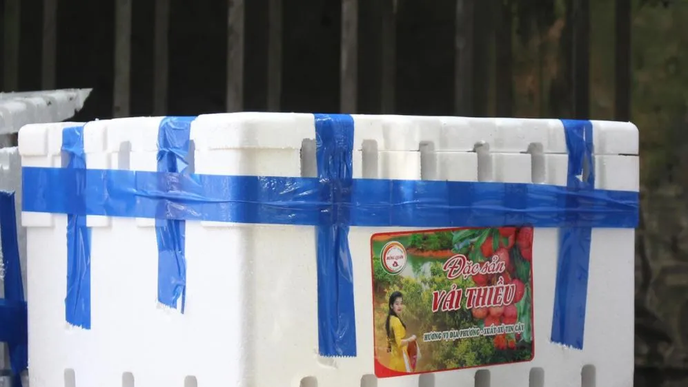 Người dân Đà Nẵng hỗ trợ tiêu thụ hàng chục tấn vải Bắc Giang