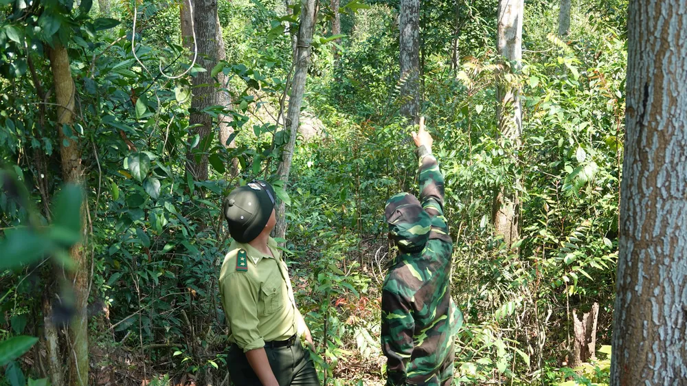 Nhân viên kiểm lâm huyện Hòa Vang cùng thành viên tổ phản ứng nhanh về phòng chống cháy rừng đi thực tế khu vực bìa rừng tại xã Hòa Phú (huyện Hòa Vang). Ảnh: XUÂN QUỲNH
