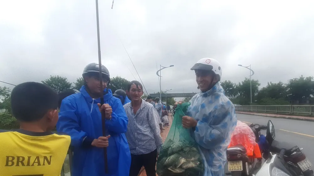 Cá bắt được là cá nước ngọt như rô phi, cá diêu hồng. Ảnh: XUÂN QUỲNH