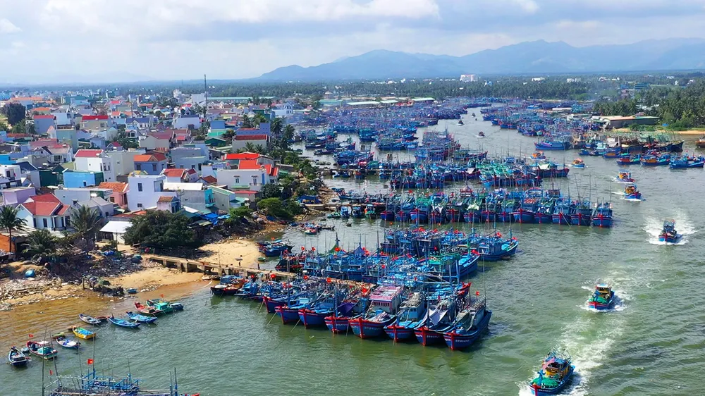Tàu cá ngư dân Hoài Nhơn (Bình Định) nối nhau vươn khơi, cam kết không vi phạm IUU. Ảnh: XUÂN HUYÊN